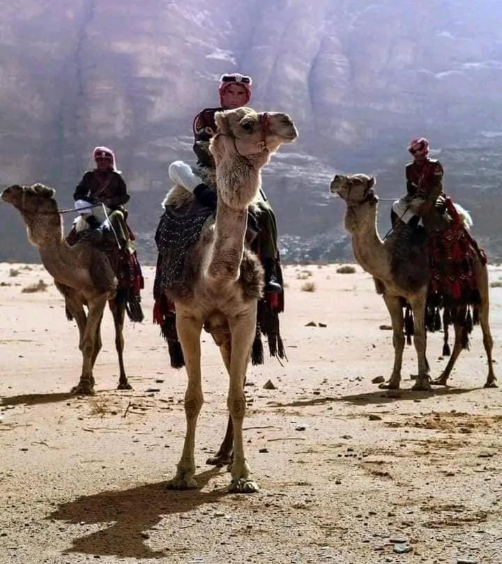 Enad Desert Camp Ουάντι Ραμ Εξωτερικό φωτογραφία